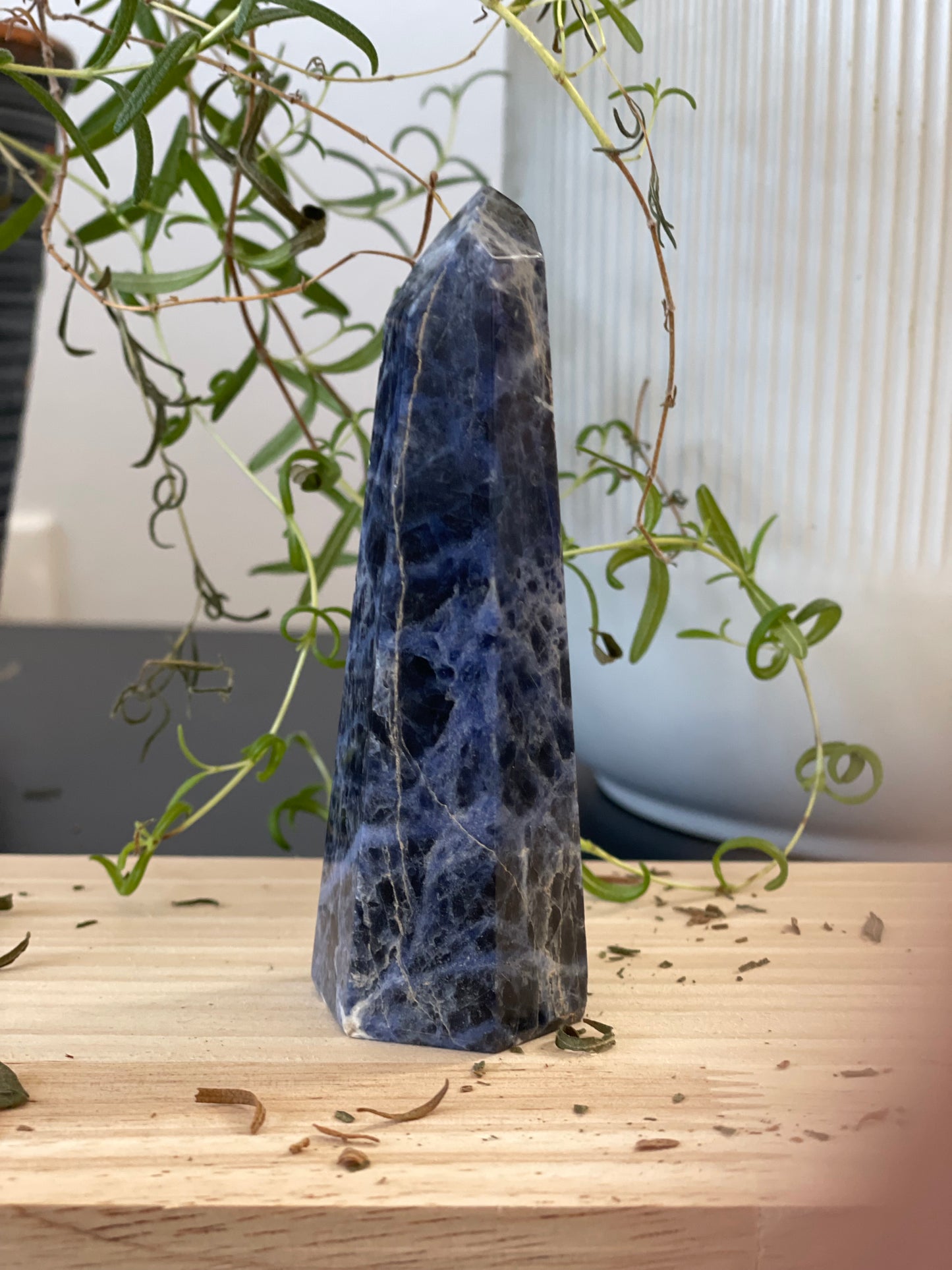 Reiki Infused Sodalite Tower