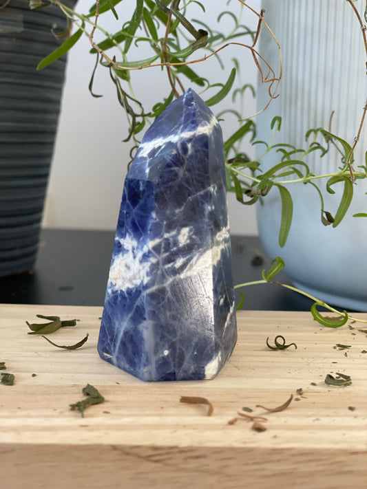 Reiki Infused Sodalite